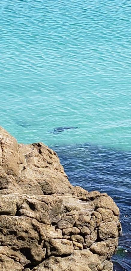 Apartamento Frente Mar Com 02 Suites Bombinhas Zewnętrze zdjęcie